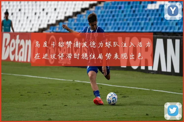 乌度卡称赞谢泼德为球队注入活力在进攻停滞时稳住局势表现出色