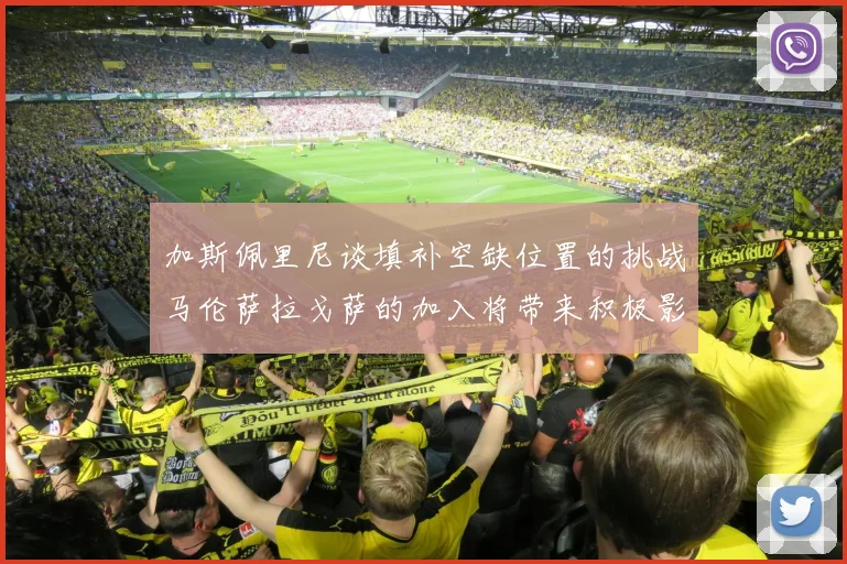 加斯佩里尼谈填补空缺位置的挑战马伦萨拉戈萨的加入将带来积极影响
