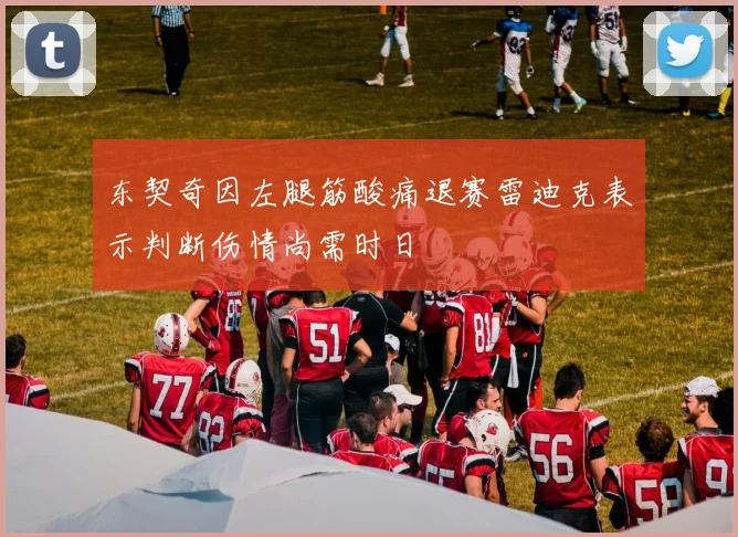 东契奇因左腿筋酸痛退赛雷迪克表示判断伤情尚需时日